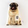 Decorative Ethel pillow "Pops" 29x40 cm, velor, 100% p/e