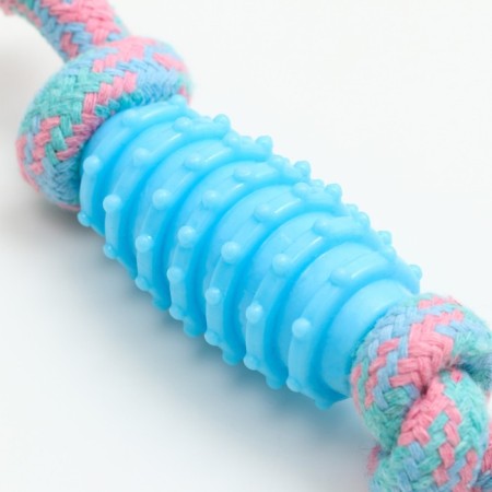 Chewing toy "Element", 17 x 3.2 cm, blue/pink-3