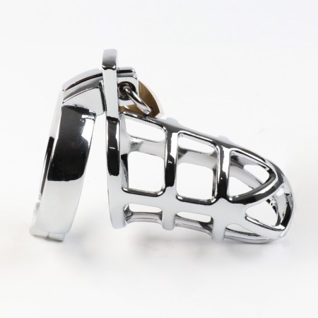 Belt of fidelity "Total cell No. 2", rings d = 4; 4.5; 5 cm, lock, key, metal