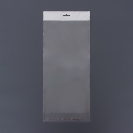 BOPP package with an adhesive valve, transparent 20 x 40/4 cm, euros, 30 μm-3