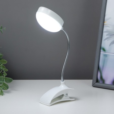 Lamp for reading on the clothespin of LED 5 diodes "Mini" 28x8.5x5 cm Risalux-1
