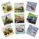 Puzzle "Transport" (Russian and English)