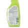Green soap with fir extract "Biomaster", with a sprayer, 500 ml