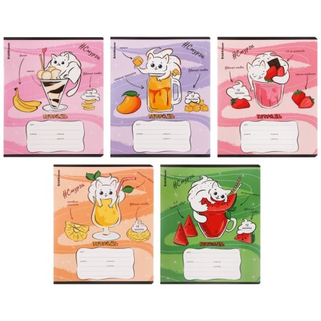 Notebook of 18 sheets in the Erichkrause "Smoothy", cover coated cardboard, mix