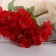 Bouquet "Hydrange Galant" 3x25 cm, mix