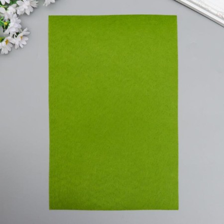 Father hard 1 mm "olive" set 10 sheets format A4-1