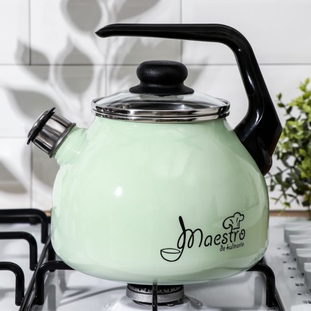 A kettle with a whistle Maestro, 3 l, a fixed handle, induction, the color is light salut-2