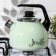 A kettle with a whistle Maestro, 3 l, a fixed handle, induction, the color is light salut