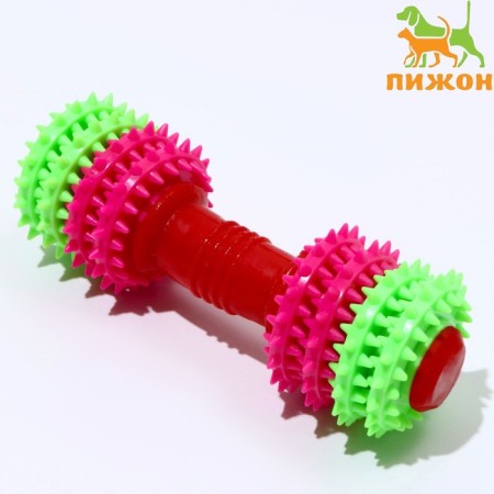 Chewing toy 15.5 x 5.5 cm, pink/green/red