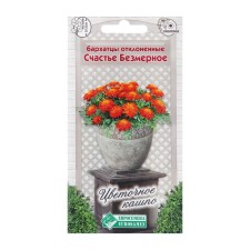 Flower seeds of marigolds rejected 