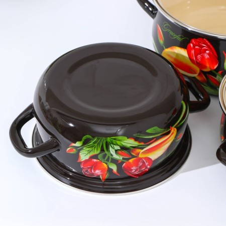 Set of pan "graceful", 3 subjects: 1.5 l, 2 l, 3 l, covers, induction-2