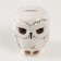 Piggy bank Ceramics "White North Eagle owl" 10.5x9x12.5 cm