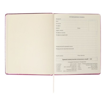 Universal diary for grade 1-11 Smart Thoughts, hard cover, artificial leather, foam rubber, silkography, lies, 80 g/m2-3