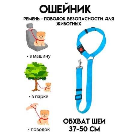Safety belt for animals, in auto/to wood, Osh 37-50 cm, max. 77 cm, blue
