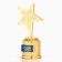 Cup Award Figure: Golden Dad star gold, plastic, 16.5 x 6.3 cm.