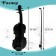 Musical toy "Violin. Maestro ", sound effects