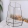 Florarium "Orchidarium" (SHOV Copper)