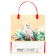 Package Gift soft plastic "Gift" 140 μm bag 26 x 22.5 x 8.5 cm