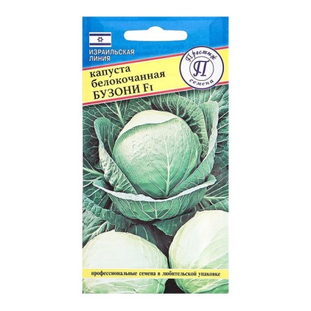 Cabbage seeds of white Buzoni, F1, 10 pcs.