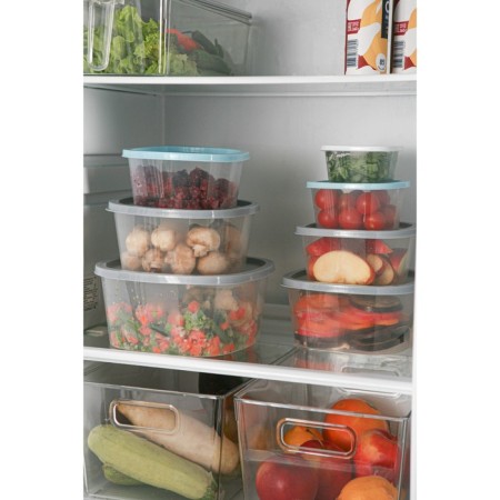Food container Ricco, 230 ml, 9.6 × 9.6 × 5.2 cm, square, transparent color, blue cover-7
