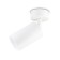 Ambrella Light GU10/LED Max 12 W, 55x555x164 mm, white color switch