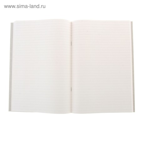 Book of accounting A4 96 sheets, in a ruler, cardboard cover, offset block-1
