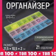 Organizer for needlework, 21 branches, 21.5 × 10.5 × 2 cm, color mix