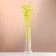 A set of dried flowers "Eringium", ban 5 pcs, length 55 (+/- 6 cm), bright yellow