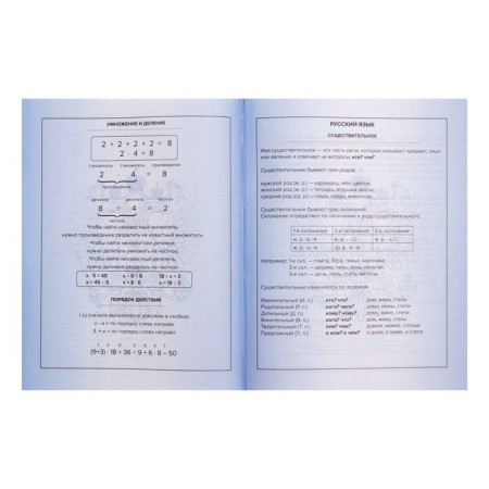 The diary is universal, for grade 1-11, "tirade", a solid cover, glossy lamination, an offset unit, a universal cheat sheet, 48 sheets-10