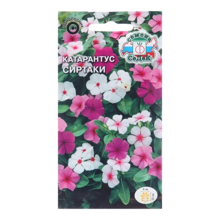 Flowers Cataranth Barvinok "Sirtaki", 0.1 g