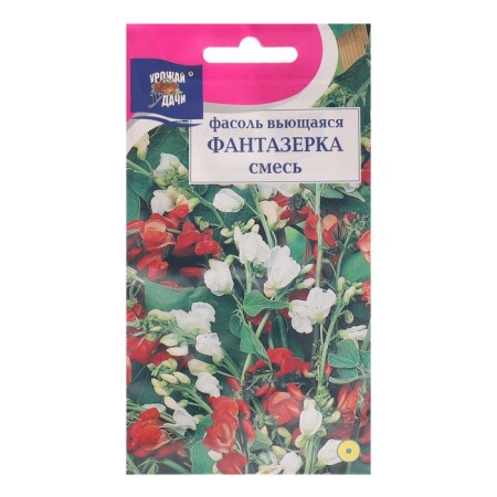 Seeds of flowers of beans.