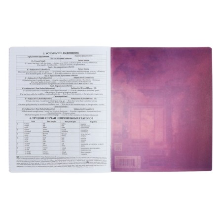 Subject notebook, 48 sheets, cage, English, Erichkrause "Manga", cardboard cover Twin-LK, OFSET BELICE 100%, info block-6