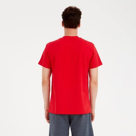 Men's T-shirt Minaku Regular Fit: Dark gray color, river 50-2