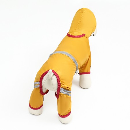 Dog ovens, demi-season, size S (DS 21-23, OG 31-33, Osh 23-25 ​​cm), yellow-3