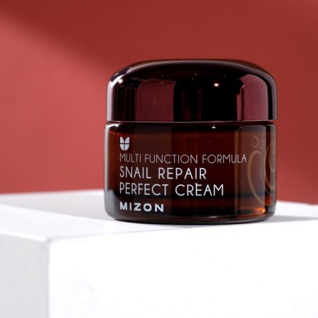 MIZON SNAIL REPAIR PERFECT CEM nourishing cream, 50 ml