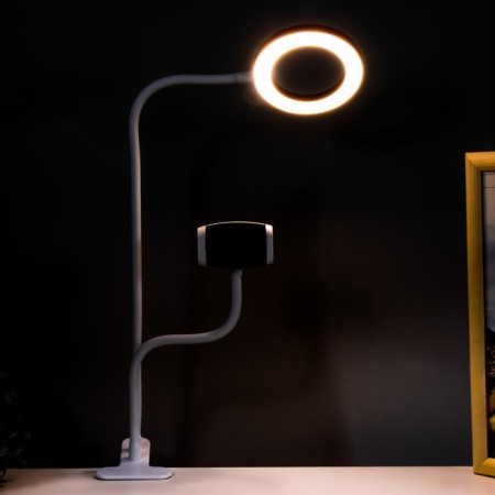 Board Octopus LED USB Rose 11x63 cm Risalux-2