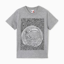 Футболка для мальчика, цвет серый меланж, рост 110 см