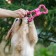 A toy is twisted from rubber and rope "Putness", 19.5 cm, pink
