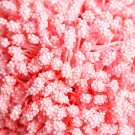 Stamens for flowers "droplets bubble coral" 4x7 mm set 700 pcs length 6.5 cm-2