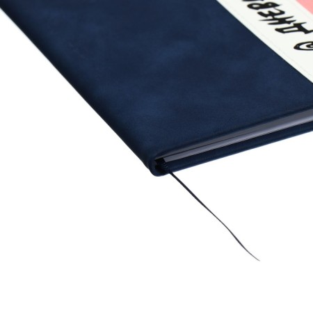 Universal diary for grades 1-11 "strip", solid cover of artificial leather, silkography, lies, 48 ​​sheets, blue+pink-2