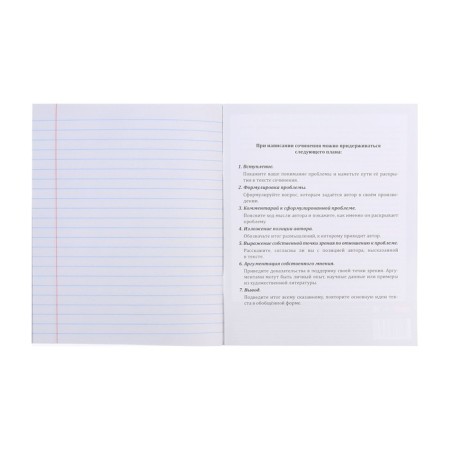 Notebook 48 sheets in the Error line "for essays", cover coated paper, block offset-3