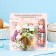 Mixtures for staining foods in the set of "flower fantasy"