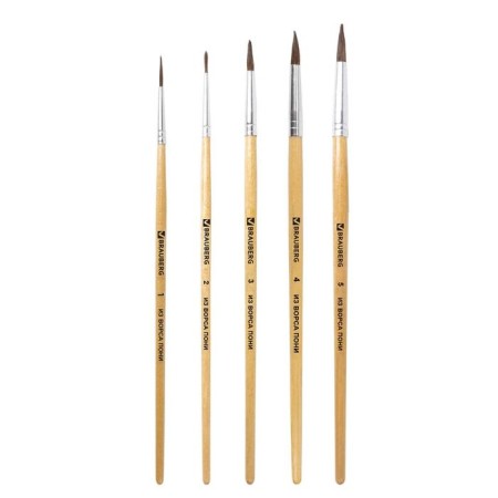 Set of brushes "Pony", 5 pieces, Brauberg (round, No. 1, 2, 3, 4, 5), blister-2