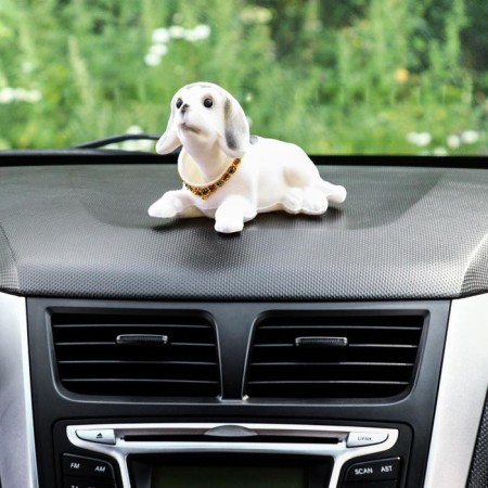 Dog on a car panel shocking his head, large, white color-4