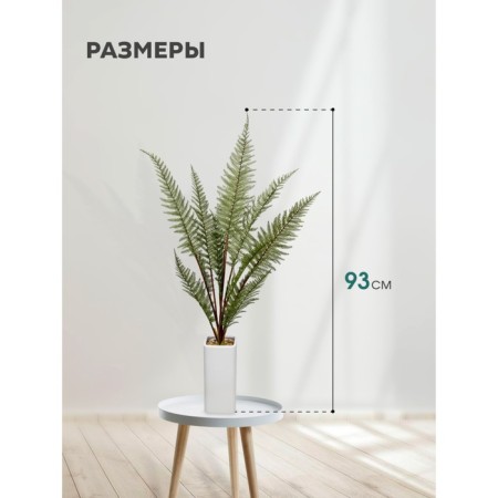 Fern in a ceramic pot, 110 × 110 × 930 mm, green / white color-1