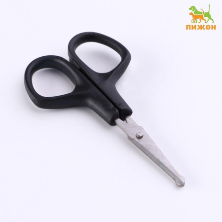 Scissors for muzzle cutting, 10 x 5 cm, mix
