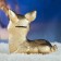 New Year's piggy bank "deer" gold 17x10x18cm