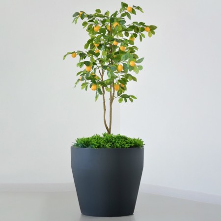 Kashpo for flowers "Chalice" 58x52 cm, 90 l, color anthracite-1