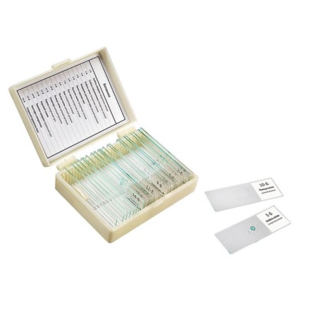 A set of Botany preparations, 16 samples for school