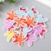 Decor for creativity rubber "Sea star with a bow" set 16 pcs MIX 3.5x3.5 cm